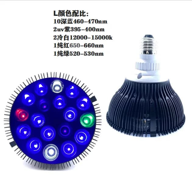 color L