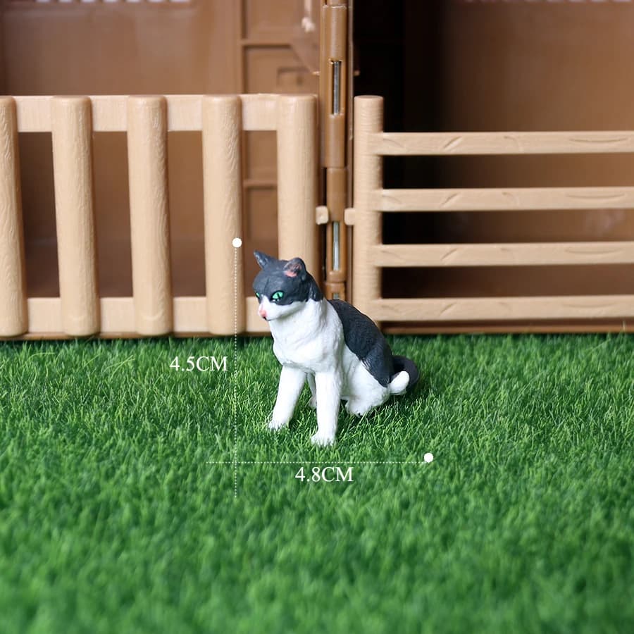 Cat 2