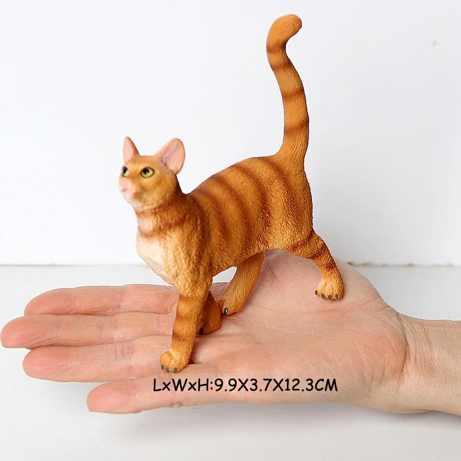 Cat 16