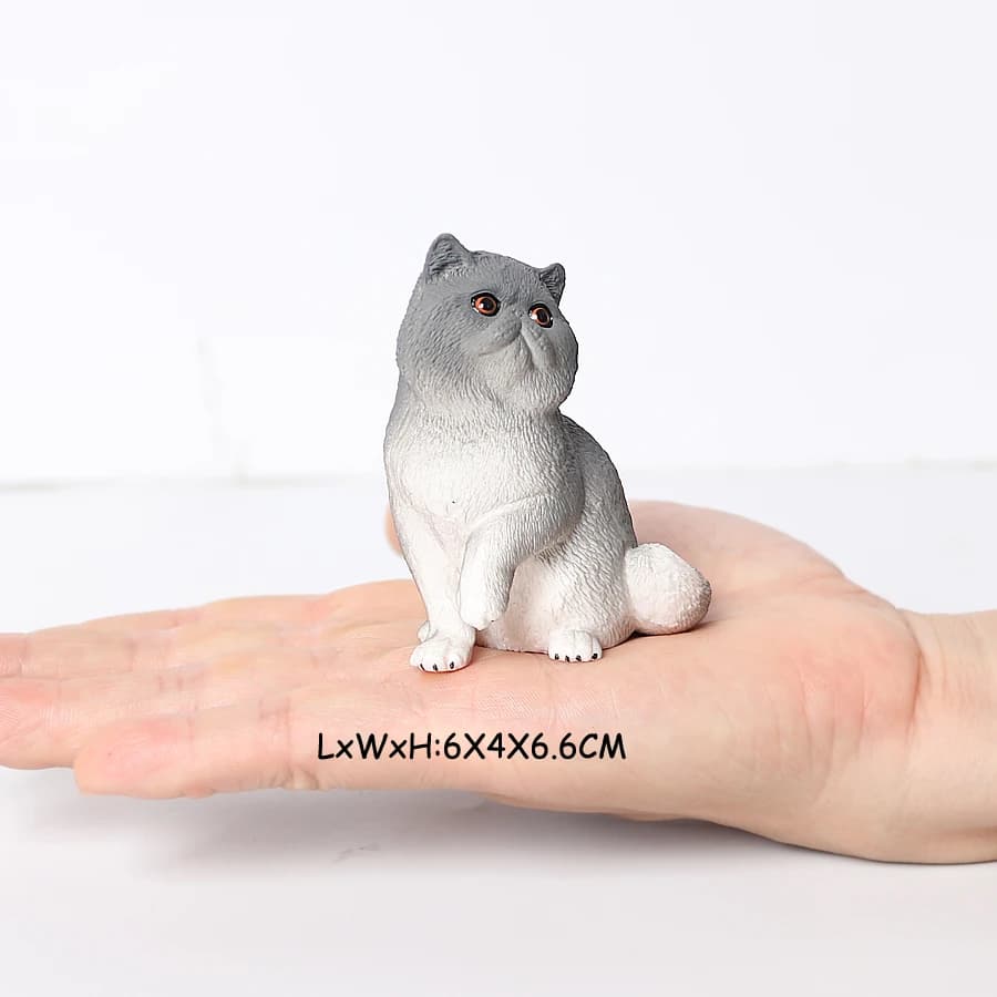 Cat 37