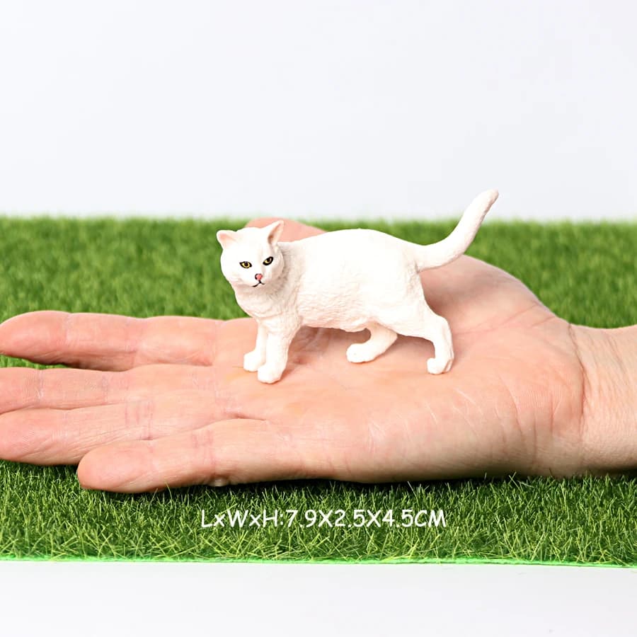 Cat 20