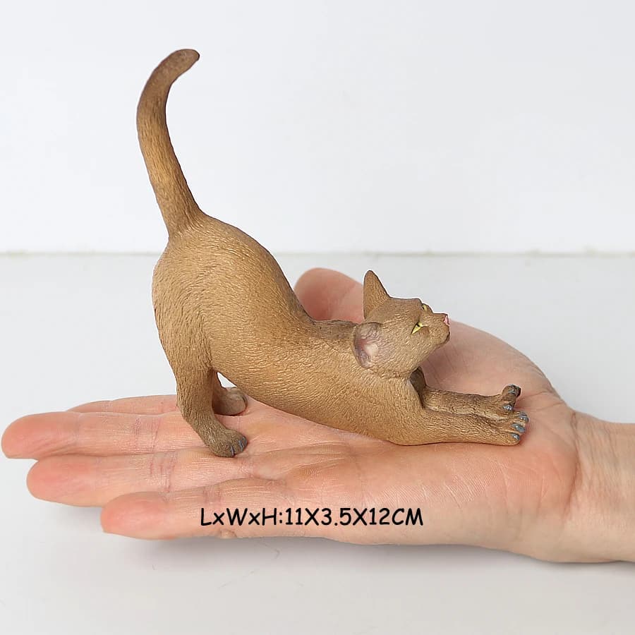 Cat 17