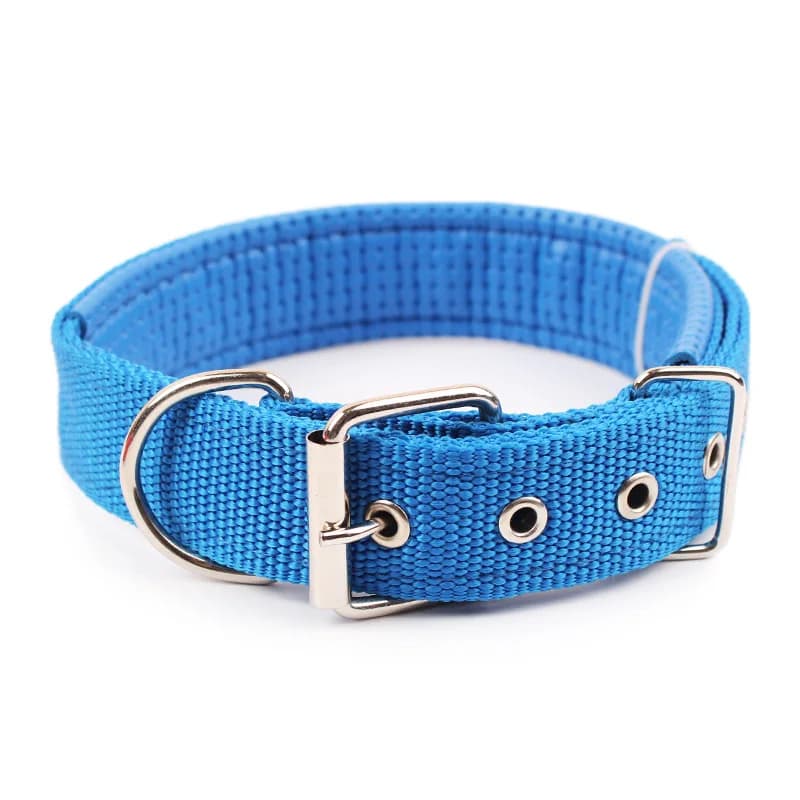 Blue / M