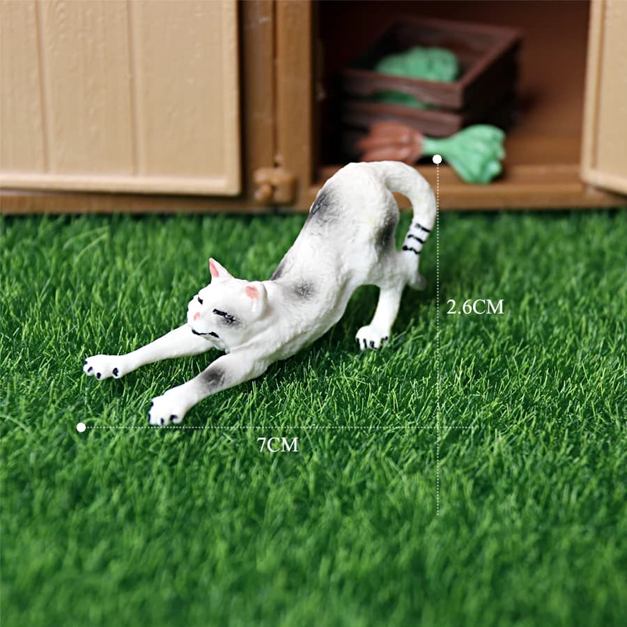 Cat 5