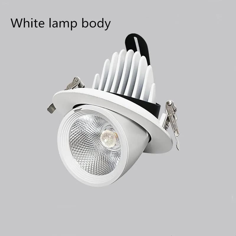 White lamp body / 30W / white light