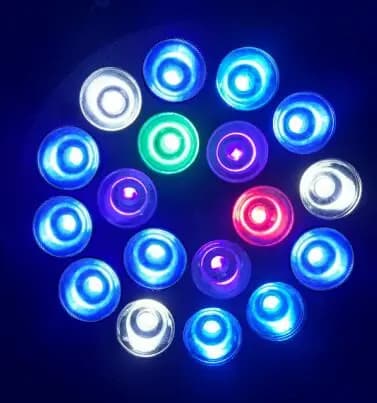color F
