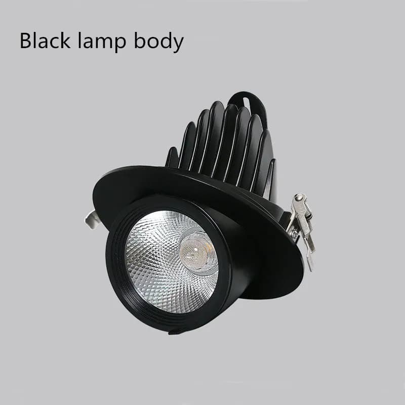 Black lamp body / 10W / white light