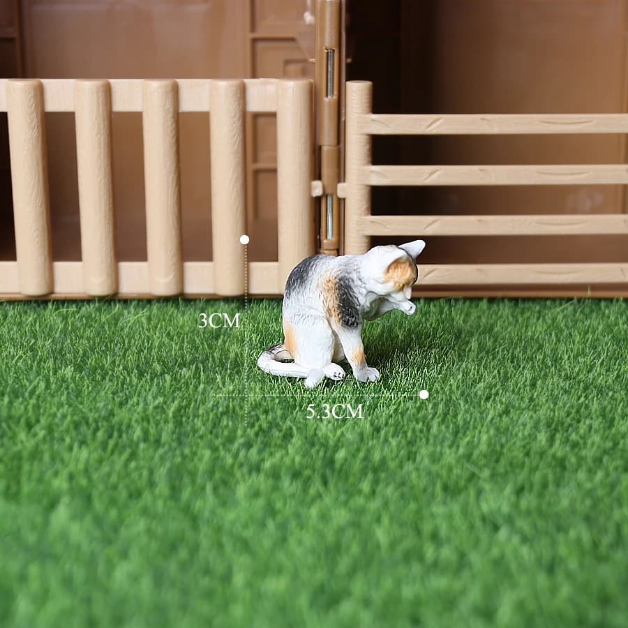 Cat 4