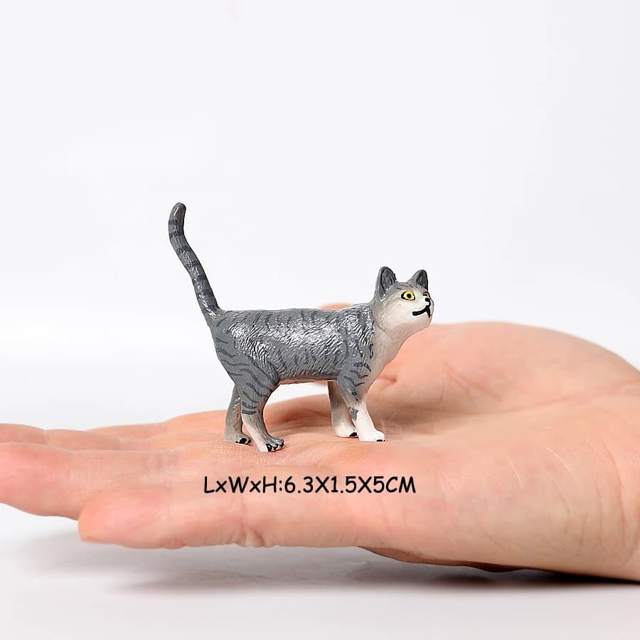 Cat 38
