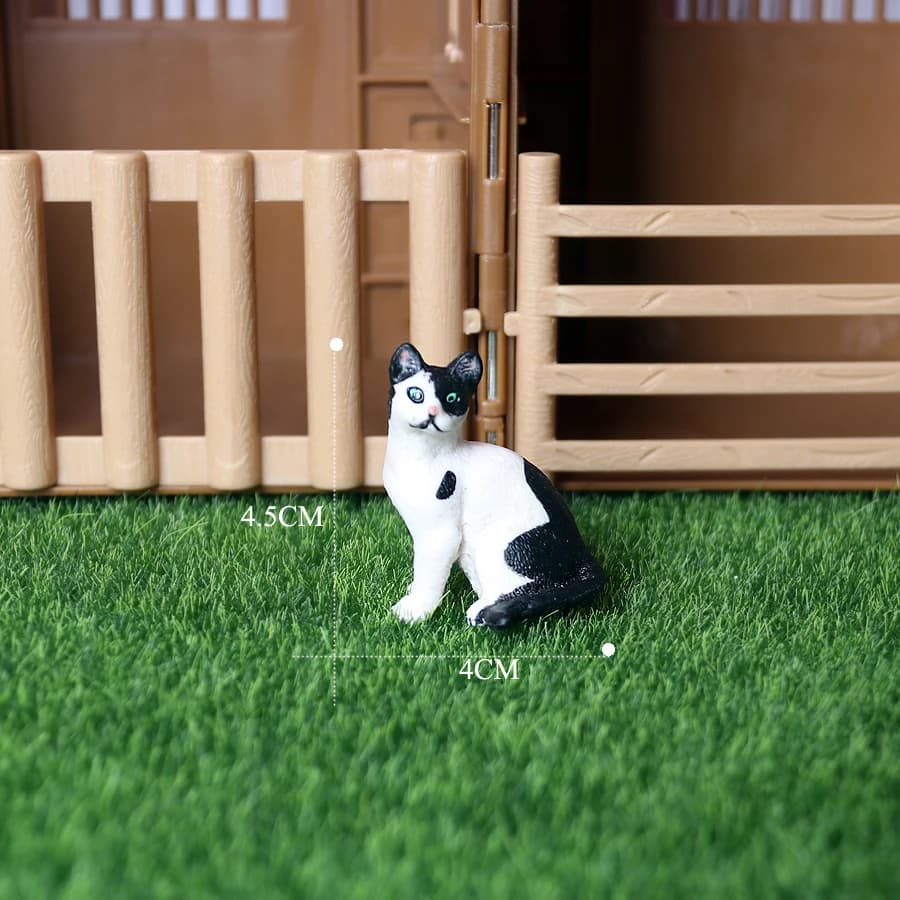 Cat 1