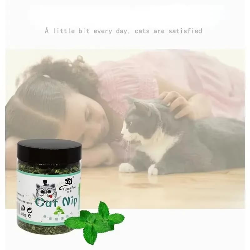Organic Catnip Cattle Grass Cat Toy