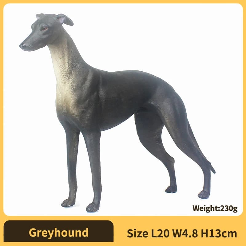 Greyhound