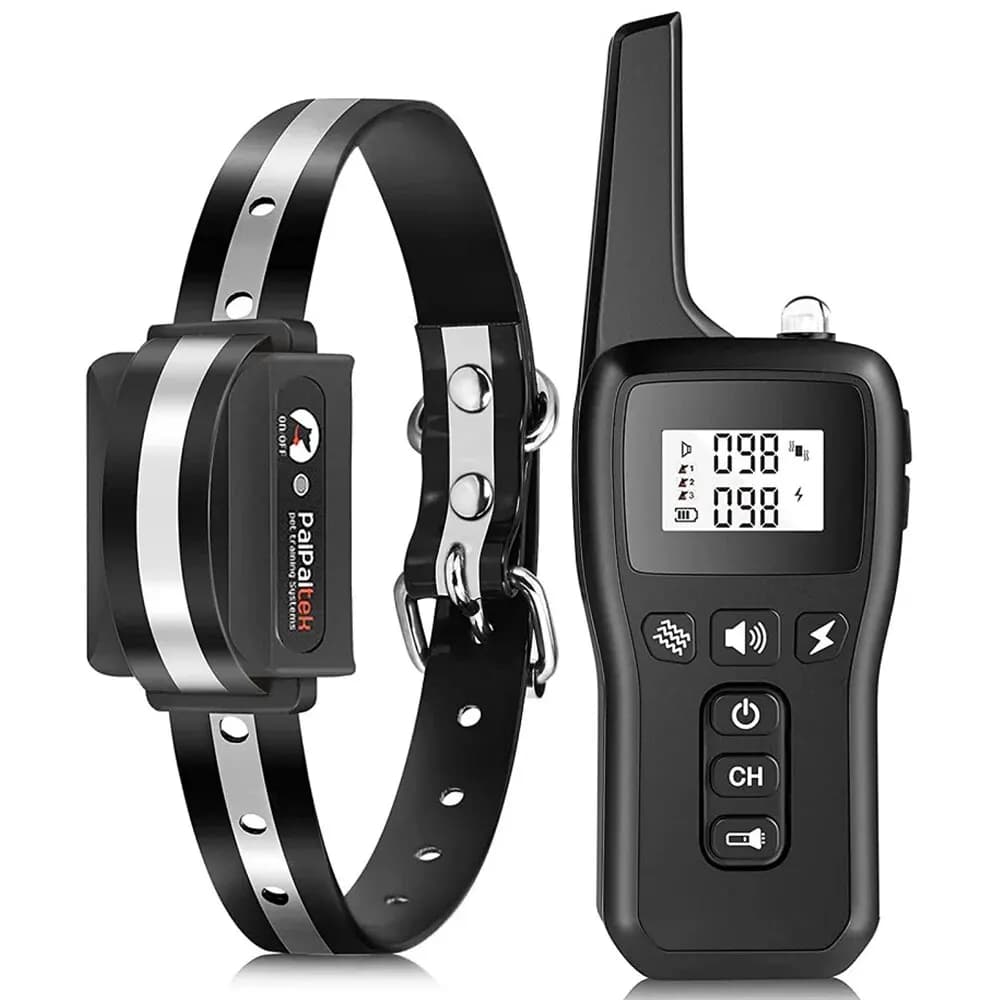 Black 1 Collar