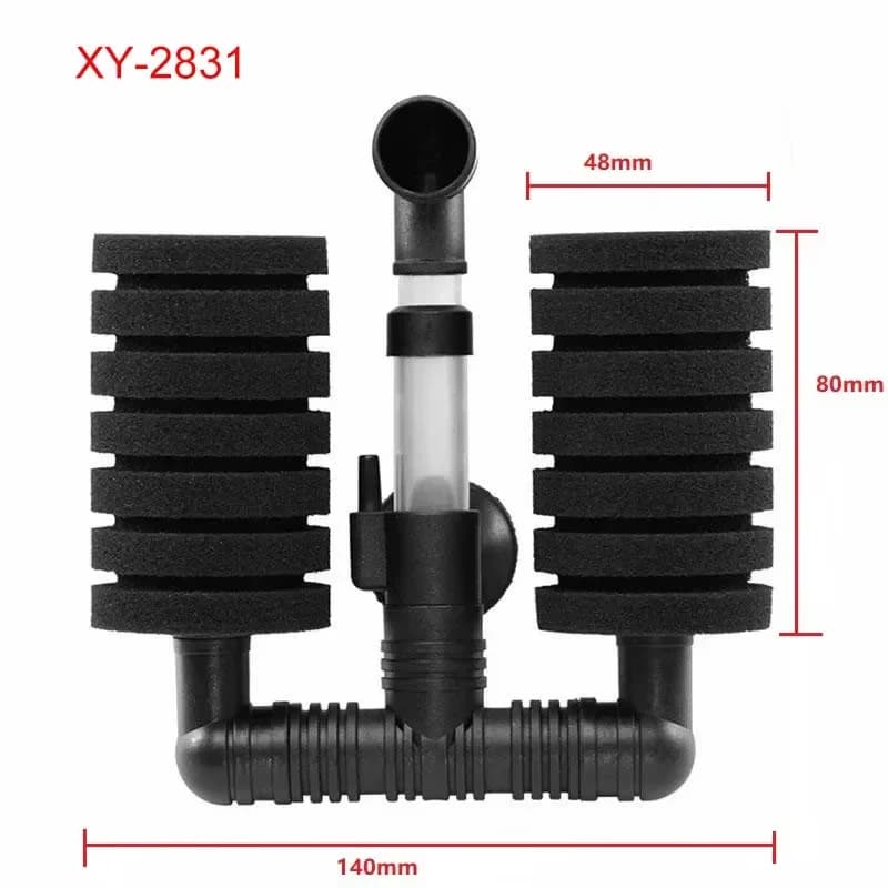 XY-2831