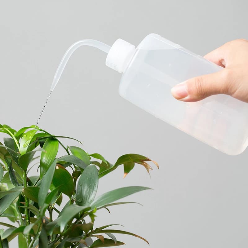 Watering Can With Gardening Tools Set
