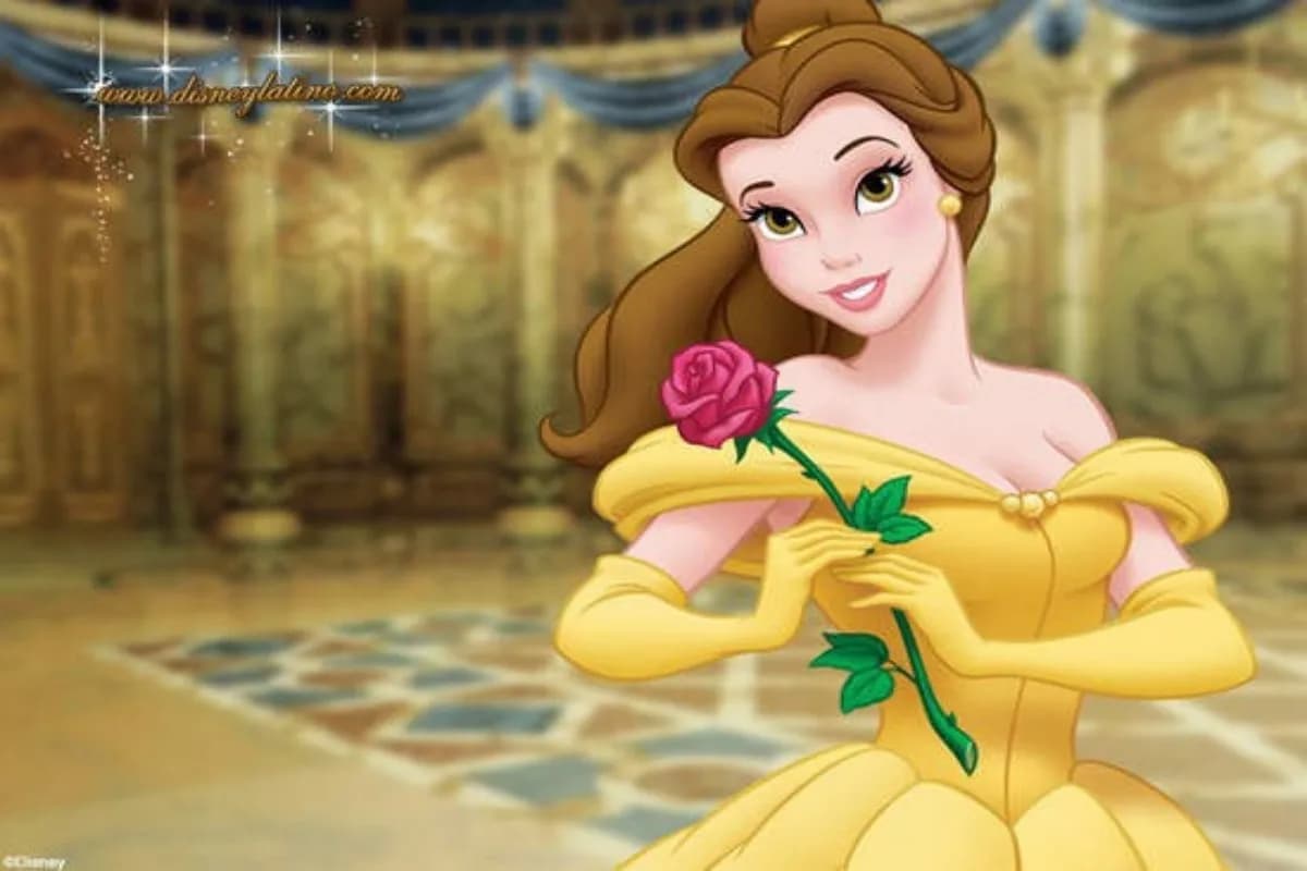 Beauty And The Beast Photography Backdrop For Birthday Party Background For Room Decoration Poster Can Be Customize Name Banner