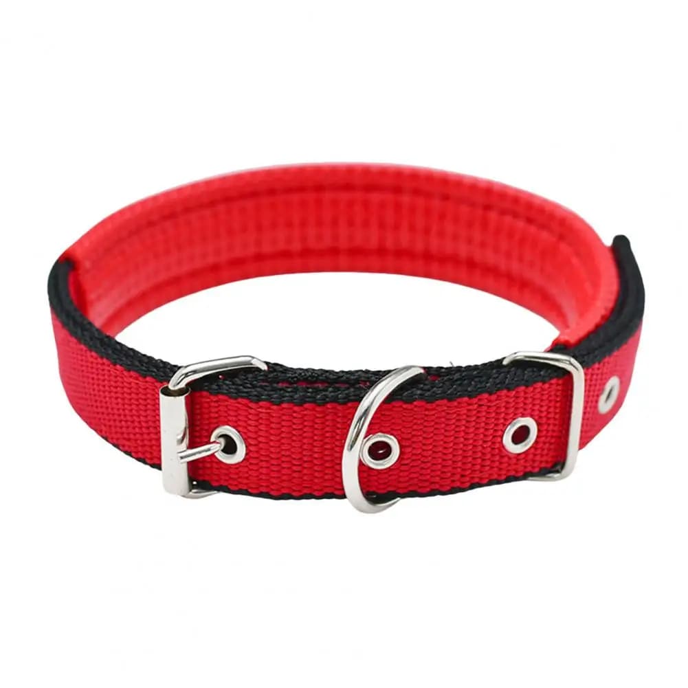 Red Black / L