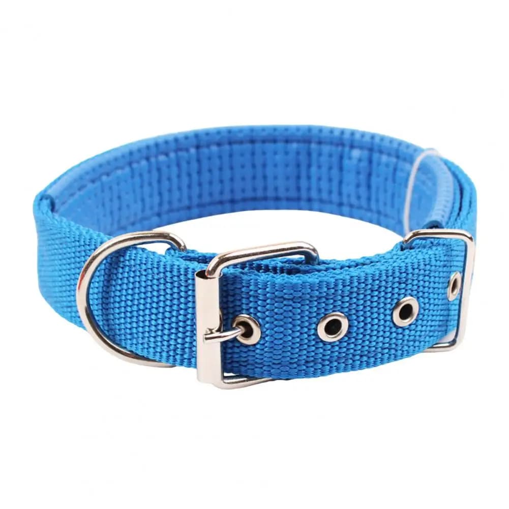 Blue / S