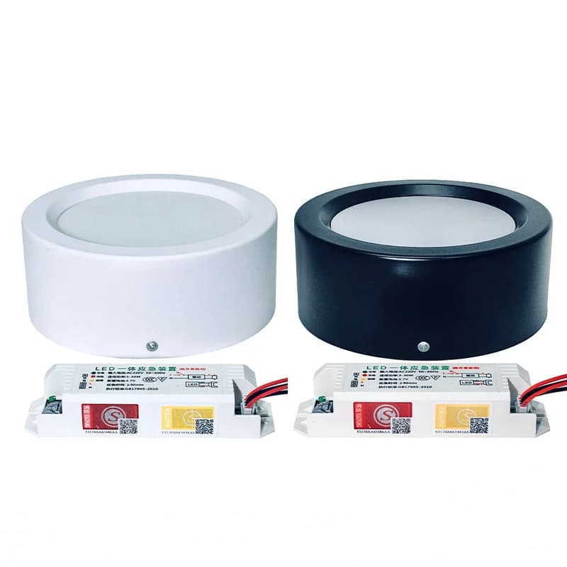 LED Emergency Light, Smart Lamp, Surface Mounted, Downlight, Lighting, Dual Surface, 5Inch, 12W