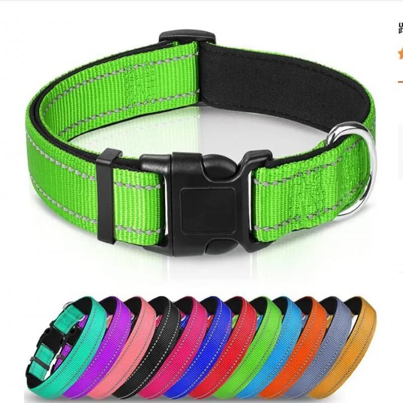 Light Green collar / XL