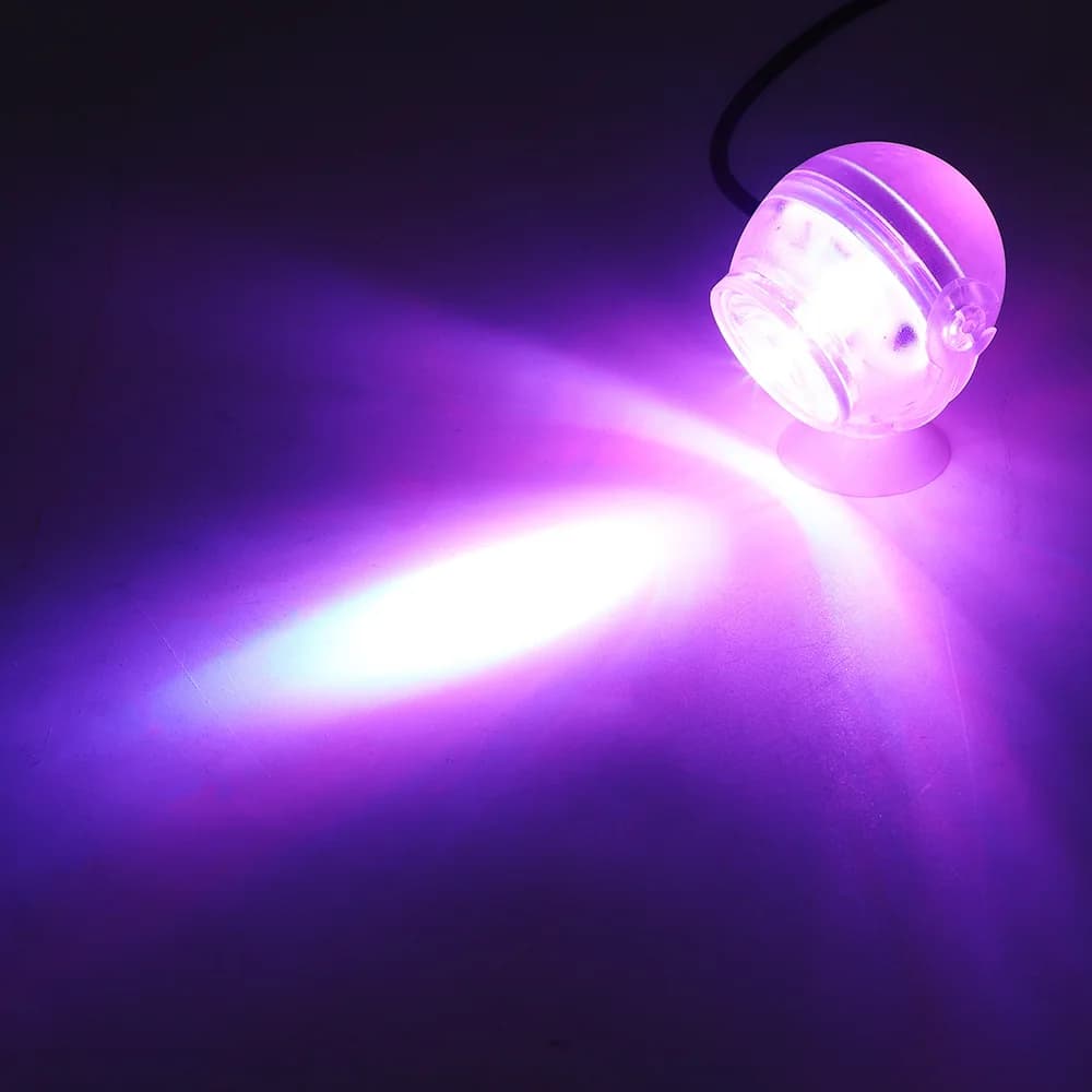 Pink Light