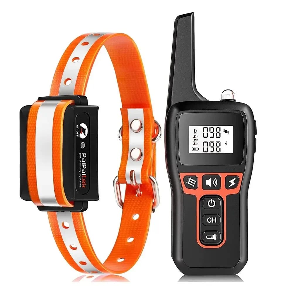 Orange 1 Collar