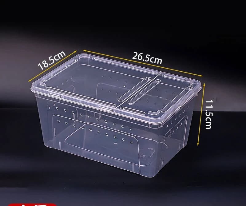 medium size