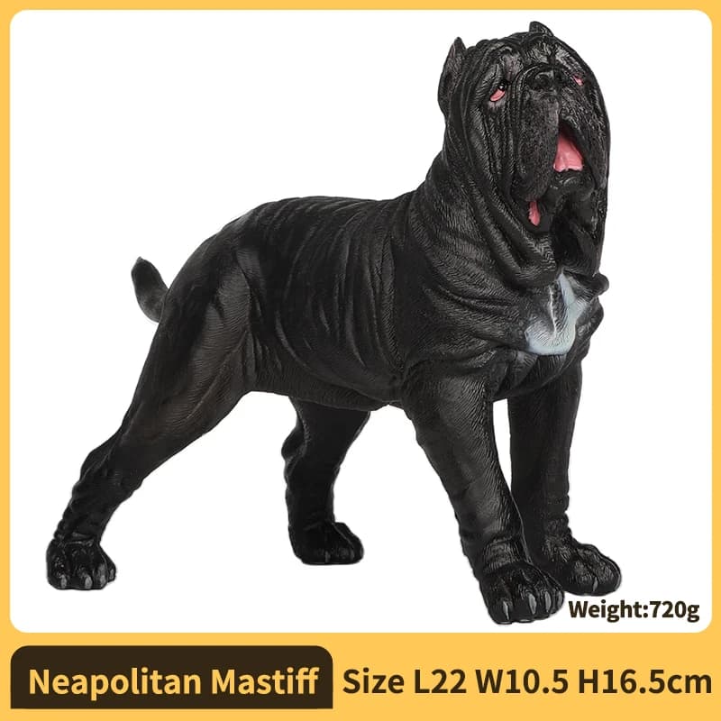 Neapolitan Mastiff