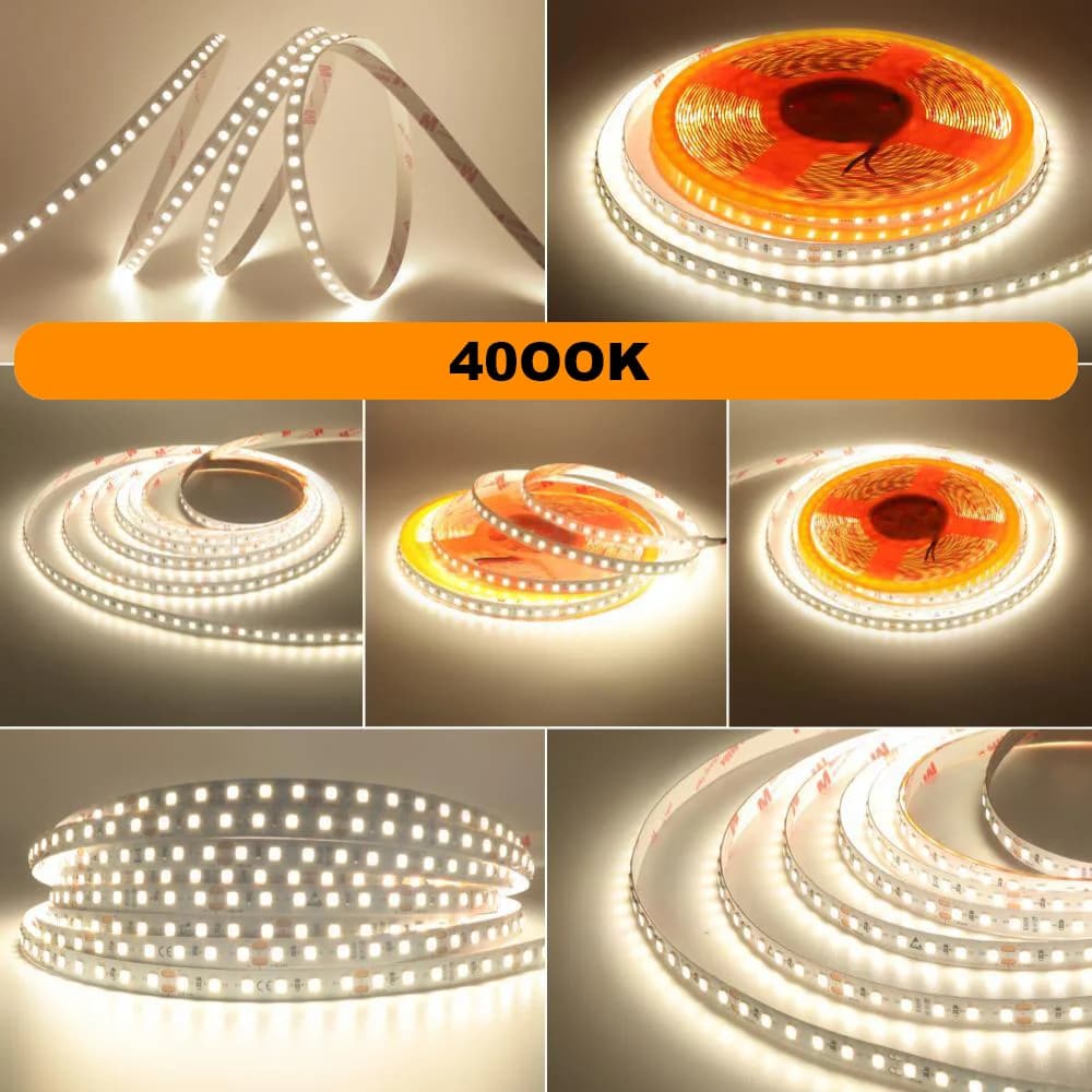 4000K / 10m 24V