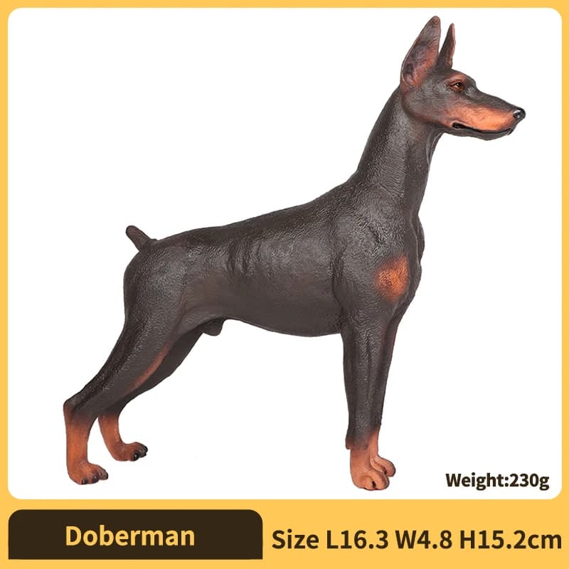 Doberman