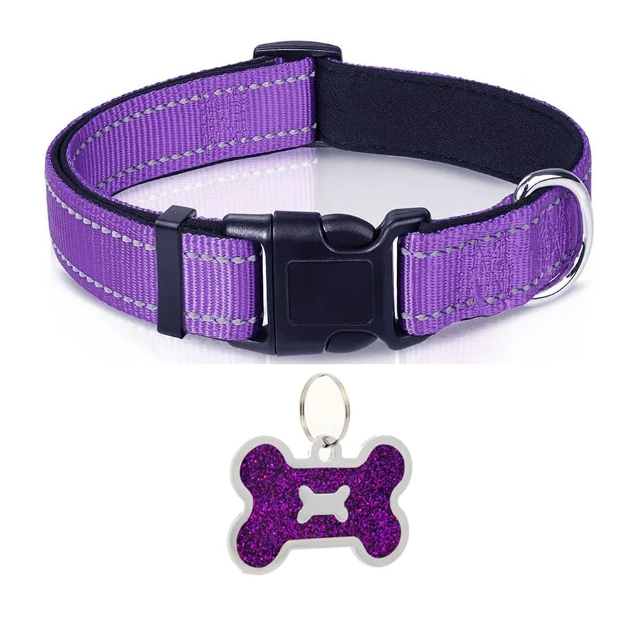 Purple collar / XS（old）