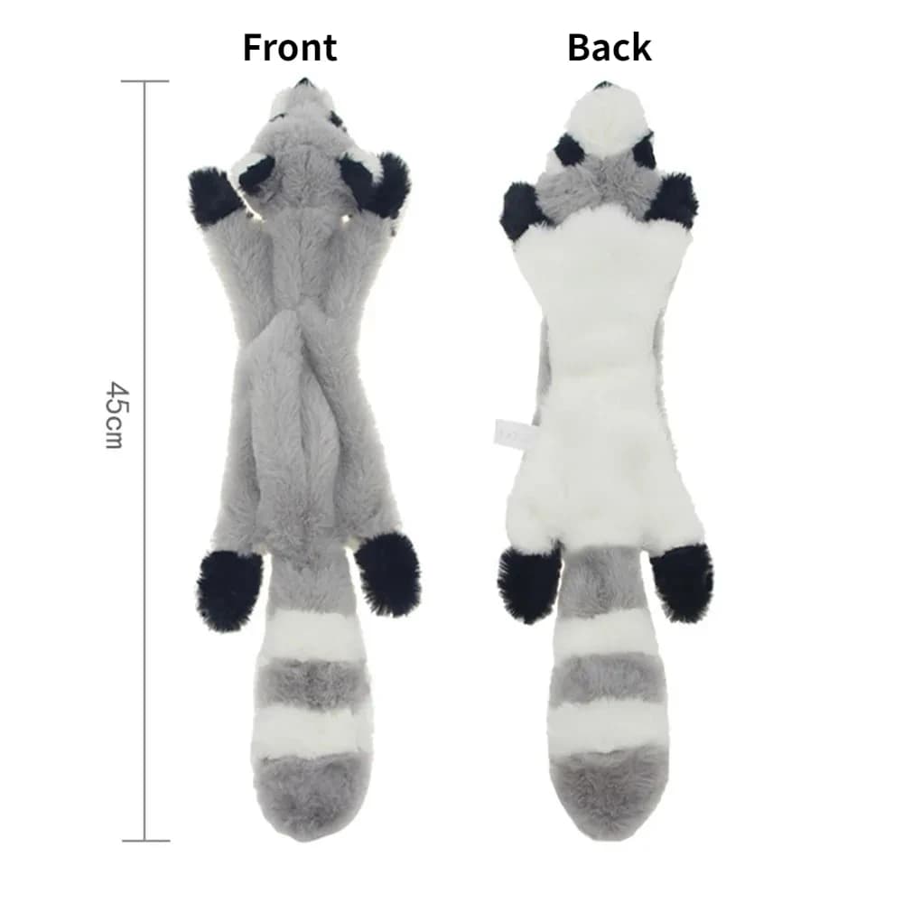 Raccoon