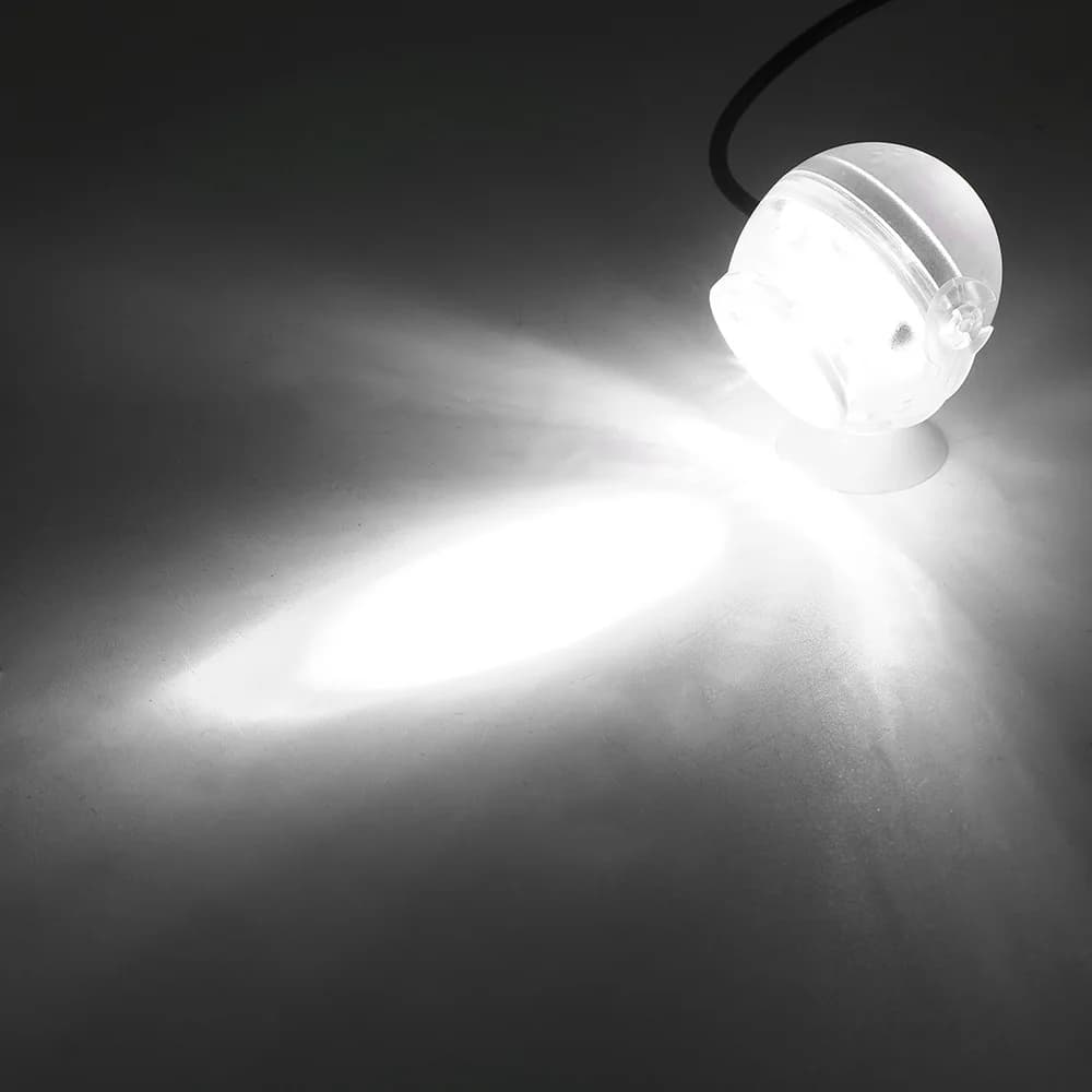 White Light