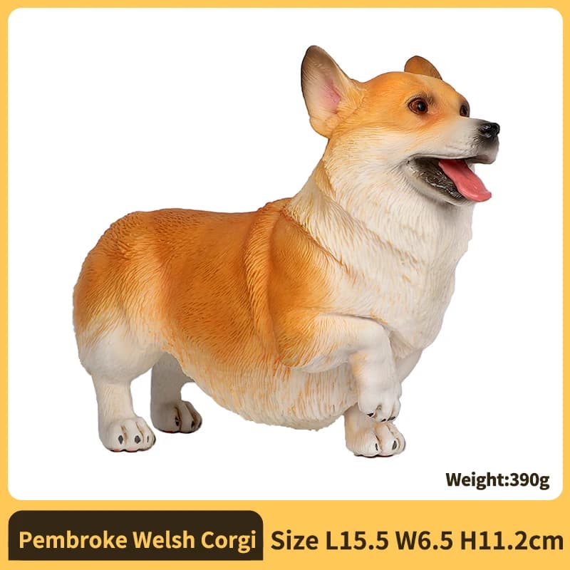 Pembroke Welsh Corgi