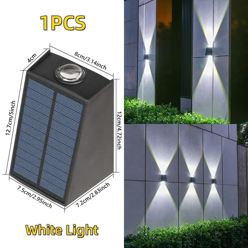 2LED White Light