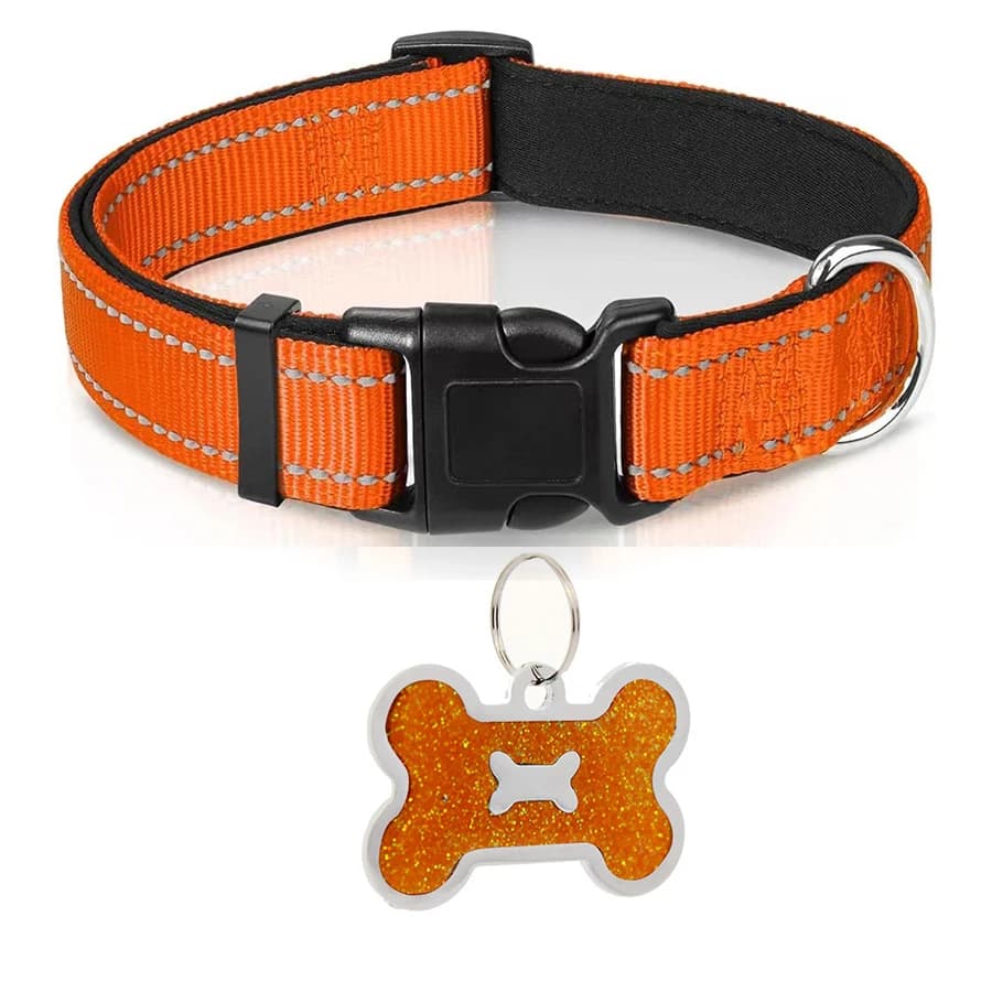 Orange collar / XS（old）