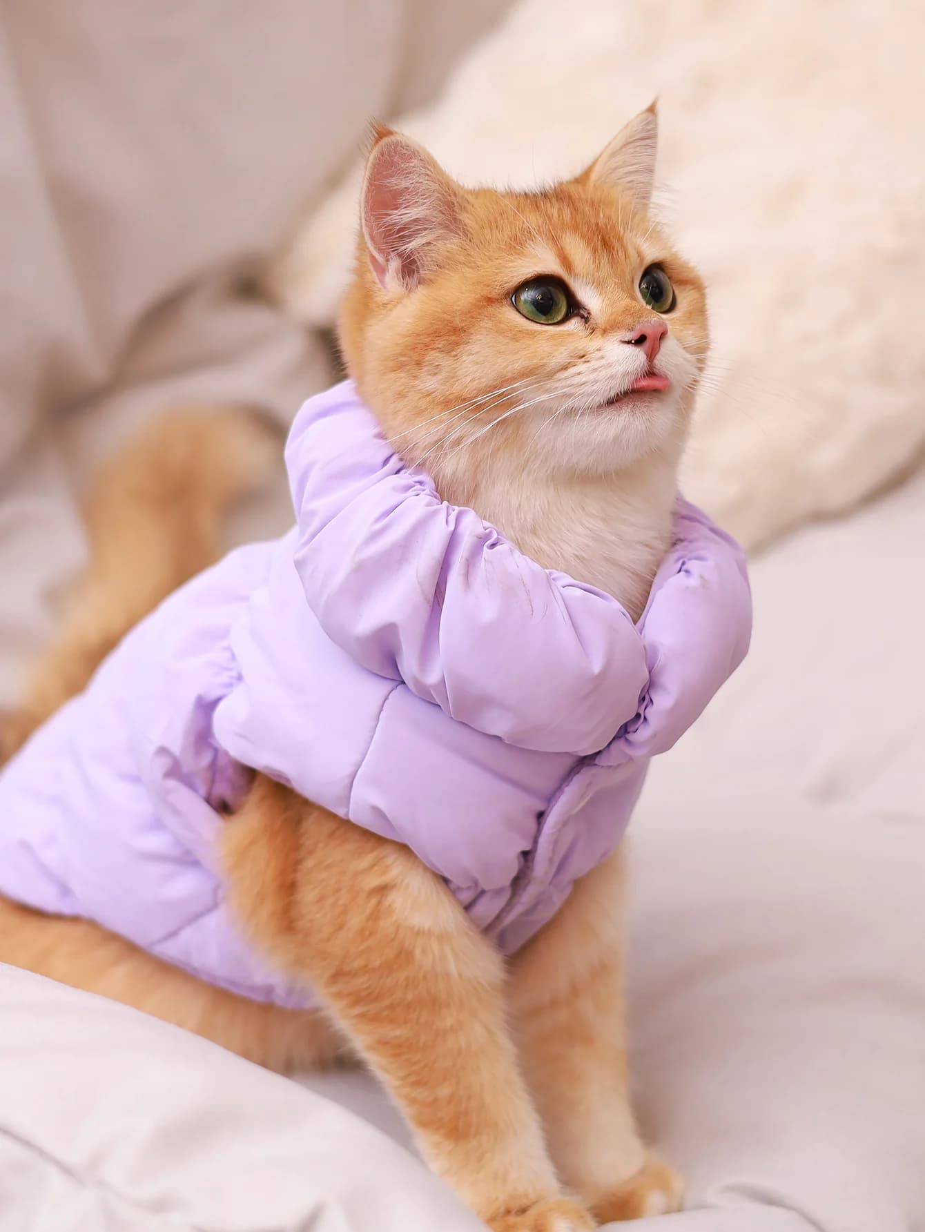 PURPLE / XL