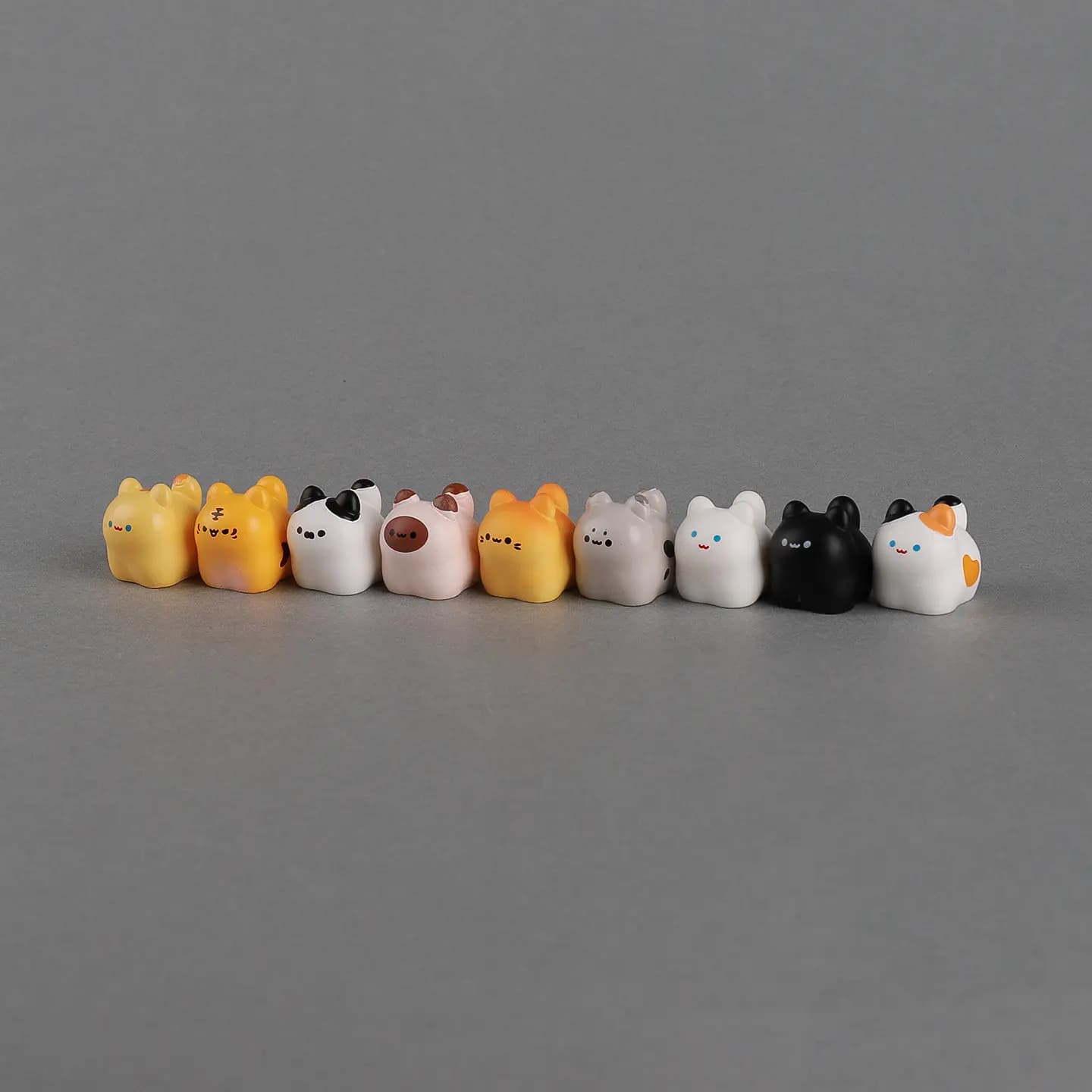 9PC CAT