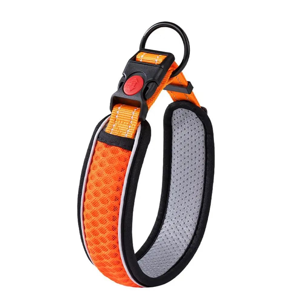 Orange / L