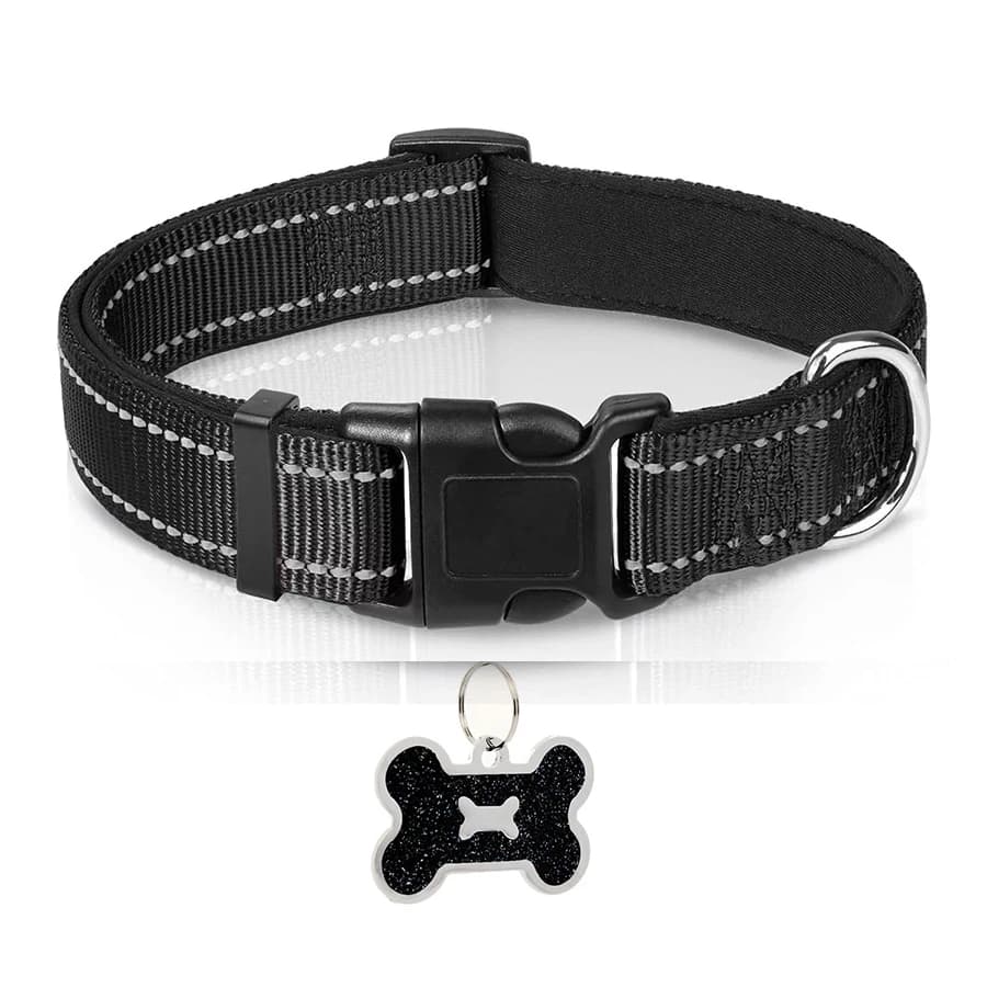 Black collar / XS（old）