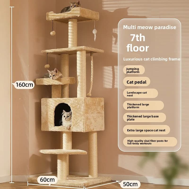 7th floor / Cat litter