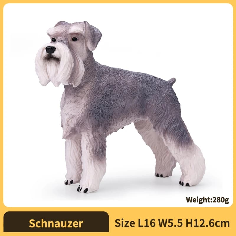 Schnauzer