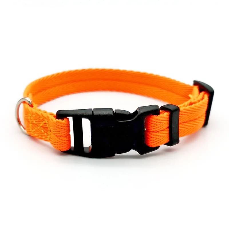 Orange dog collar / XL (30-50cm)
