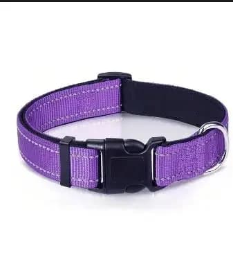 Purple collar / M