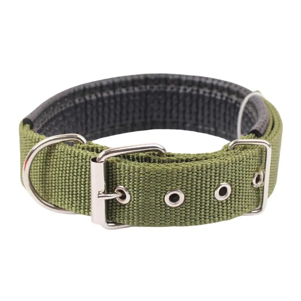 Green / XL