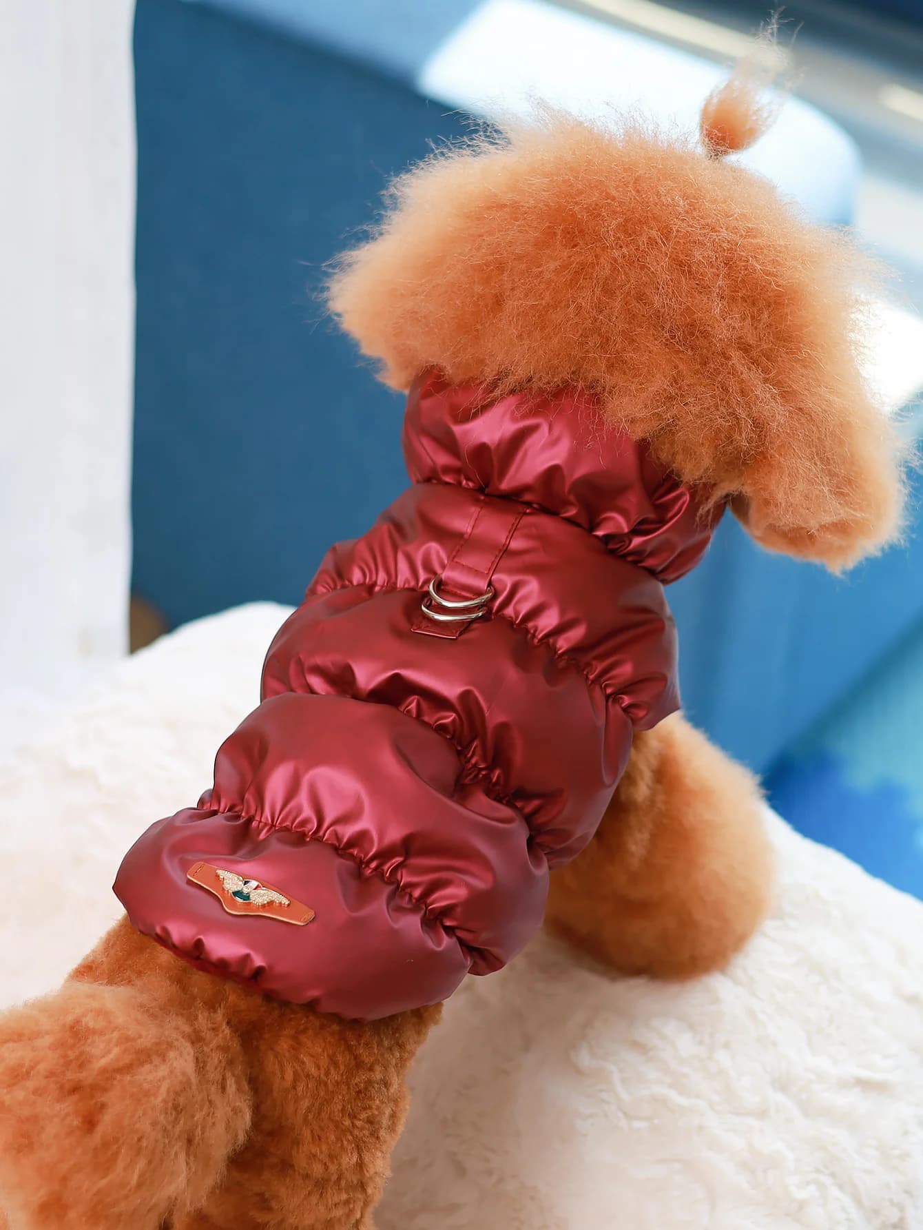 Burgundy / XL