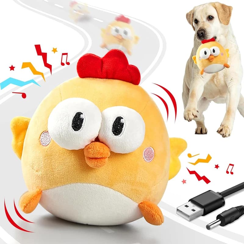 chick