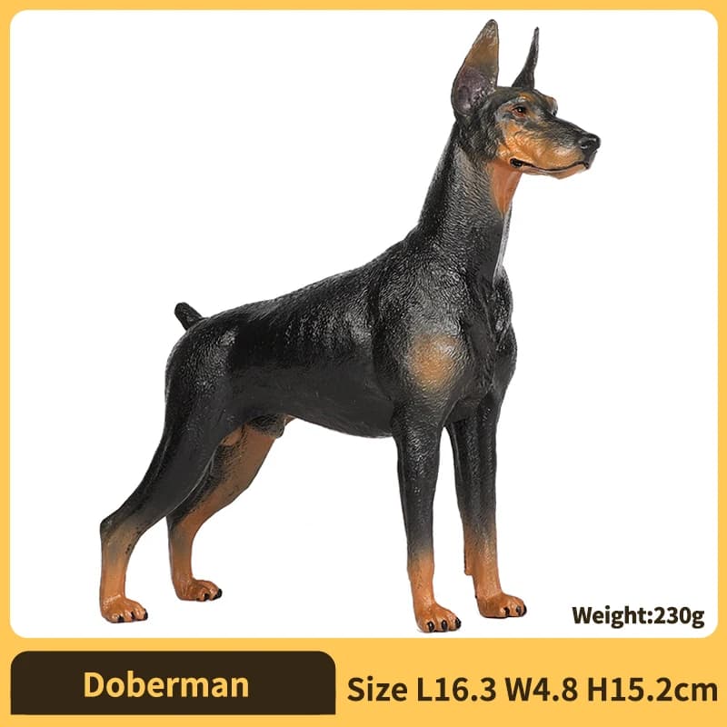 Doberman