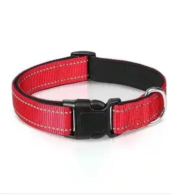 Red collar / XL