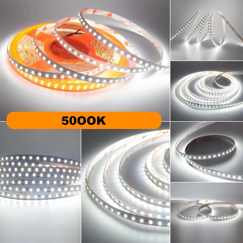 5000K / 10m 24V